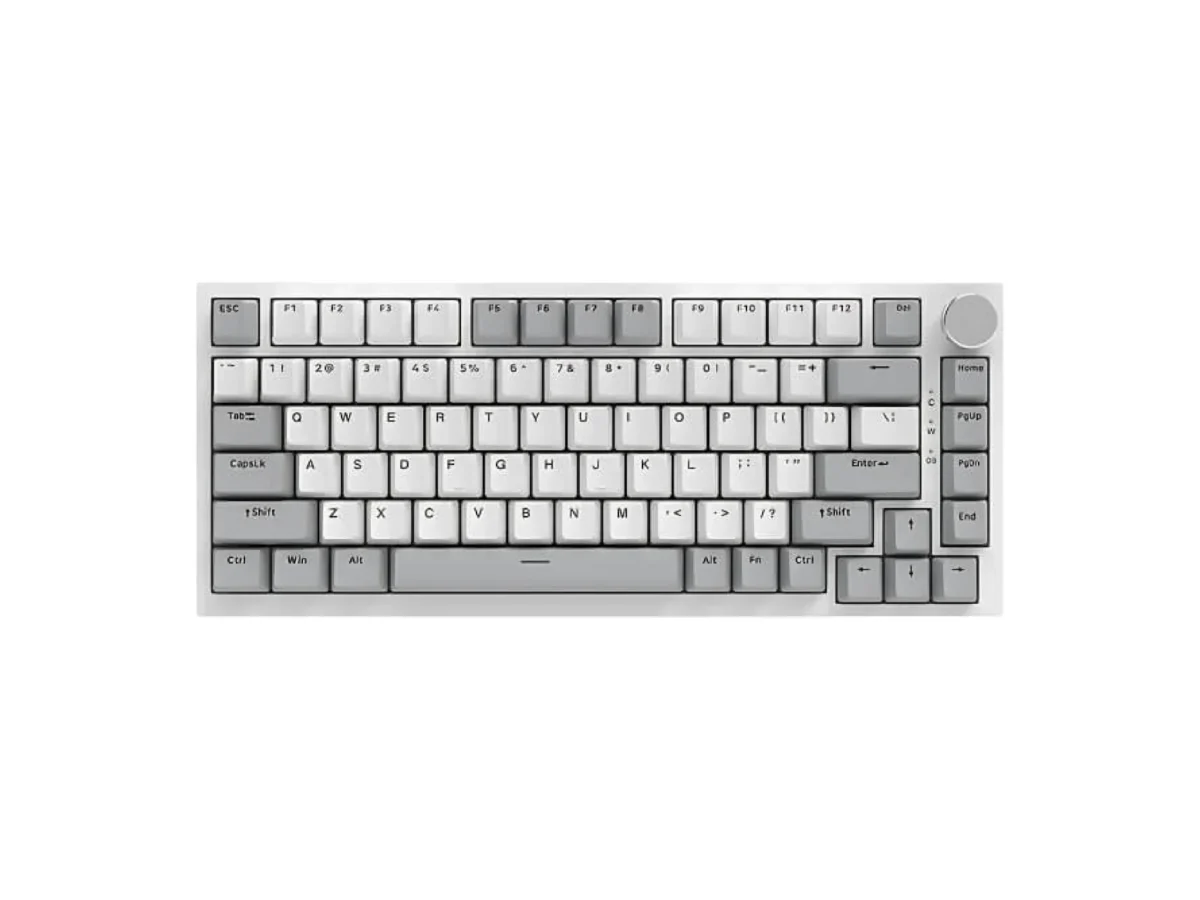 AJAZZ AK820 75% Gasket-mounted Wired Mechanical Keyboard Gray White