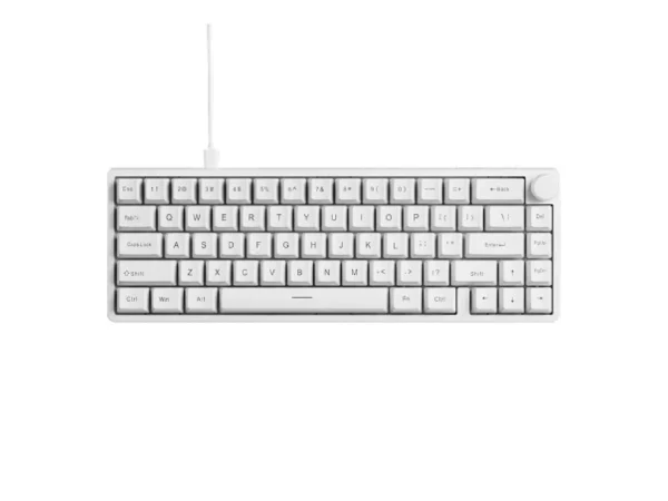 EWEADN C65 V2 Wired Mechanical Keyboard