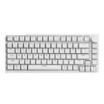 Eweadn C75 RGB Hotswappable Wireless Mechanical Keyboard