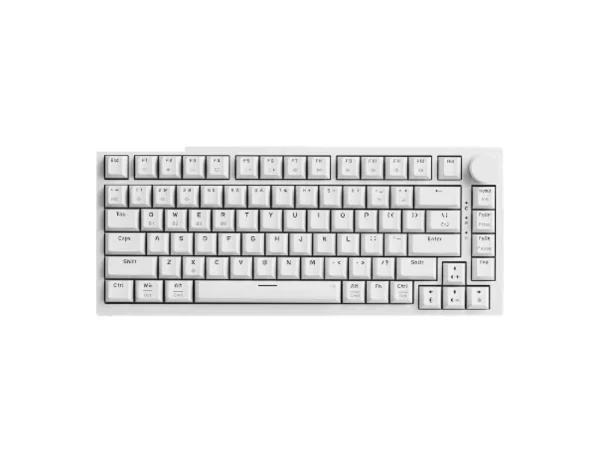 Eweadn C75 RGB Hotswappable Wireless Mechanical Keyboard