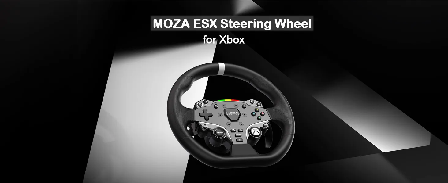 ESX Steering Wheel for PC & Xbox
